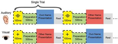 Self-Related Stimuli Decoding With Auditory and Visual Modalities Using Stereo-Electroencephalography